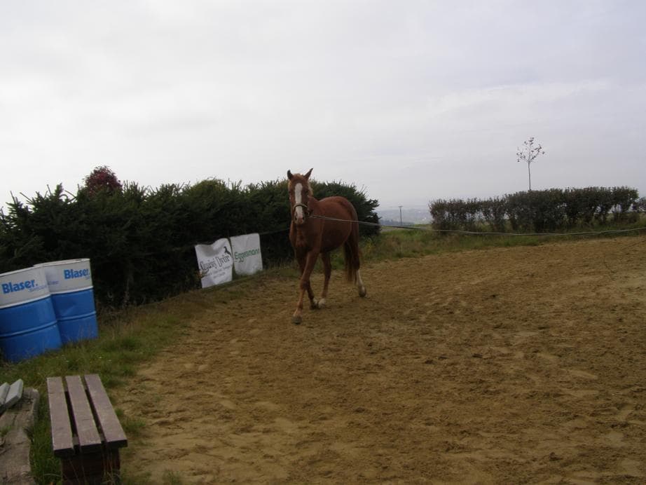 Na návštěvě u Merlina v Janově