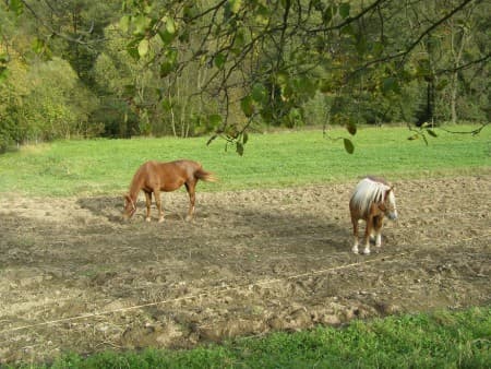 Nová ohrada u řeky
